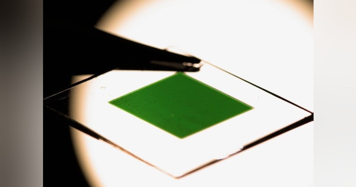 Here are a few options for rewriting the title as a news article title, keeping it under 13 words:
Option 1 (Focus on application):

Polariton Filters Could Sharpen Displays, Sensors, and Imaging (9 words)

Option 2 (More direct claim):

New Polariton Filters Promise Better Displays, Sensors, Optical Imaging (10 words)

Option 3 (Emphasizing technology type):

Thin-Film Polariton Filters Advance Displays, Sensors, and Imaging Tech (11 words)

Option 4 (Slightly more question-like, newsy hook):

Smarter Displays & Sensors? Thin Polariton Filters Show Promise (11 words)

Option 5 (Focus on improvement):

Polariton Filters Boost Performance for Displays, Sensors, and Imaging (11 words)

Choose whichever option best suits the desired tone and focus of your news piece. All options are under the 13-word limit and transform the technical title into a more news-oriented headline.