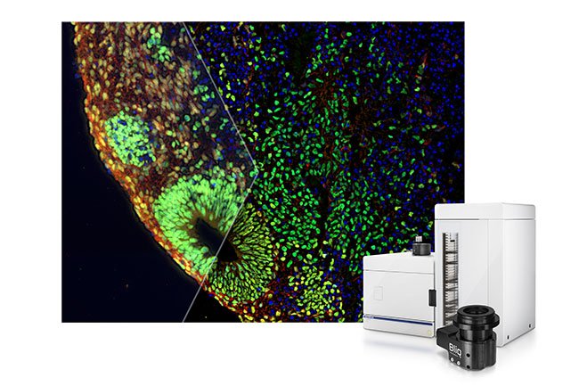 Evident Microscopy Software Spotlighted in Photonics Spectra Publication